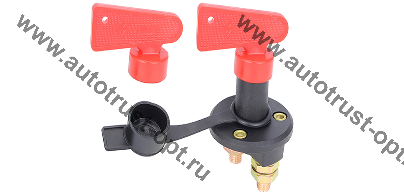 Выключатель массы  Type 1