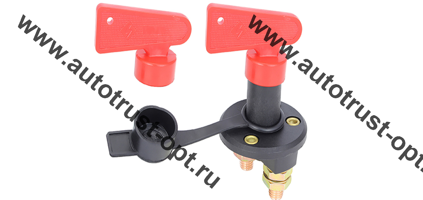 Выключатель массы  Type 1