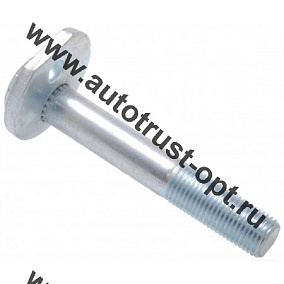 0129-002 Febest Болт с эксцентриком (48190-22040)