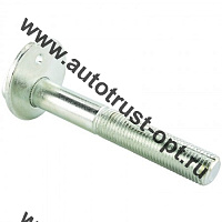 0229-006 Febest  Болт с эксцентриком 