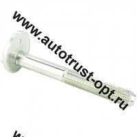 0229-004 Febest  Болт с эксцентриком 