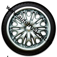 "АКС авто"  Колпак декоративный КУПОЛ серебристый (пруж.) 13" (2)