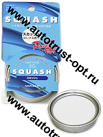 Ароматизатор с пропиткой Napolex HT404  "SQUASH"  4650556940013