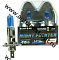 AVANTECH  Лампа высокотемпературная H1 12V55W (120W) 5000K  комплект 2 шт (AB5001)