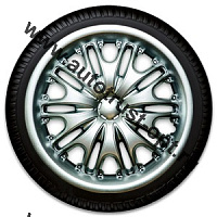 "АКС авто"  Колпак декоративный КУПОЛ серебристый (пруж.) 13" (2)