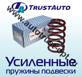 Пружина ТrustАuto TATY075R (48231-33491/33490)