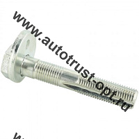 0129-014 Febest Болт регулировки развала колес (с эксцентриком) 