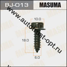 MASUMA Саморез 6х18мм (под ключ 10мм, набор 10шт) BJ-013