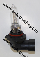 Xenite Standart  HB3 (9005) 12V 65W  P20d