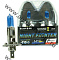 AVANTECH  Лампа высокотемпературная H1 12V55W (120W) 5000K  комплект 2 шт (AB5001)