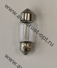 AC 24V 10W T11x31