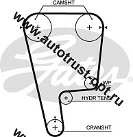 Ремень ГРМ GATES  T-226/T-1220 (155YU24)