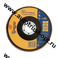 ТУНДРА Круг лепестковый торцевой конический 125 х 22 мм, Р40