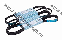 TrustAuto Ремень ручейковый 5PK890