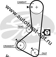 Ремень ГРМ T-089 (122ZLB19) GATES