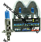 AVANTECH  Лампа высокотемпературная H1 12V55W (120W) 5000K  комплект 2 шт (AB5001)