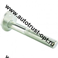 0229-006 Febest  Болт с эксцентриком 