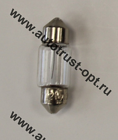 AC 24V 10W T11x31