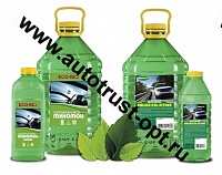 Омыватель стекол  ECO-BIO "Мухомой" 3л (лето)