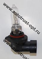 Xenite Standart  HB3 (9005) 12V 65W  P20d