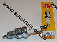 NGK Свеча зажигания BRE529Y  (6229)