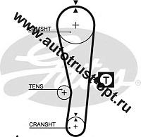 Ремень ГРМ 5122 (T-095) GATES